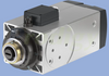 HSD Electrospindles MTC MTR Line: MT1120-170