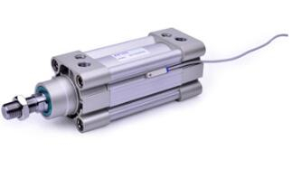 Standard Cylinder-SAI