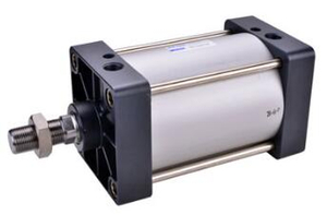 Standard Cylinder